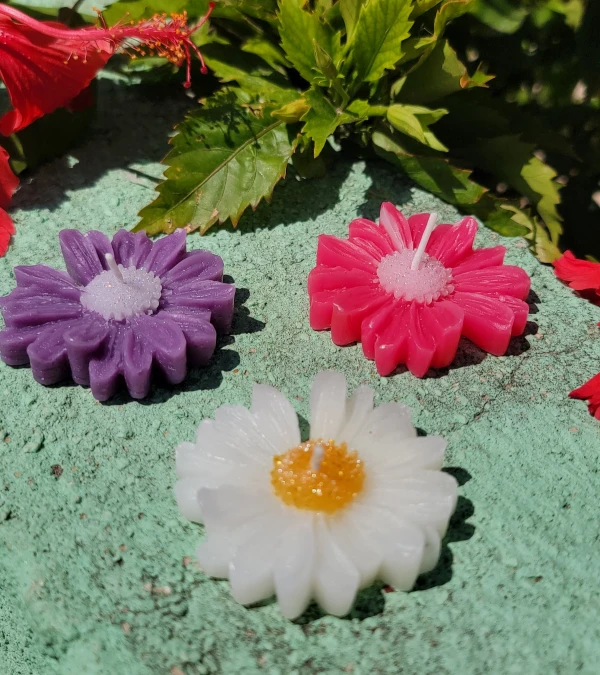 Vela de margarita's foto | Singularity | Velas Aromáticas & Papelería  |  BizneCubano