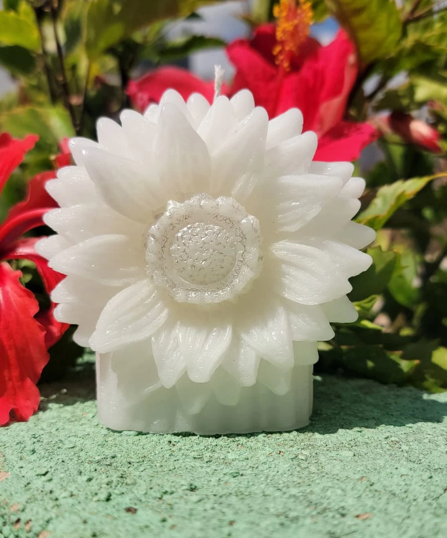Vela Escultural "Flor de Nieve"'s foto | Singularity | Velas Aromáticas & Papelería  |  BizneCubano